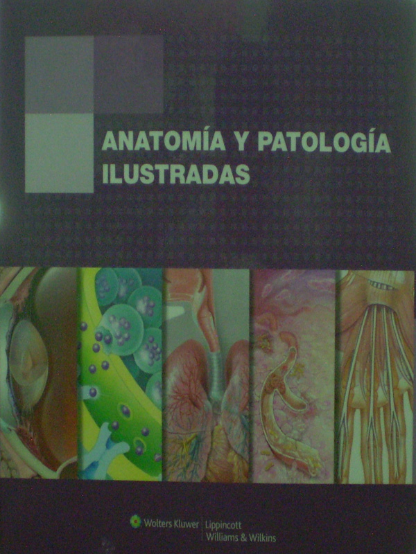 Libro: Anatomia y Patologia Ilustradas Autor: Anatomical Chart Company